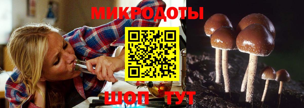 Псилоцибиновые грибы мухоморы Надым